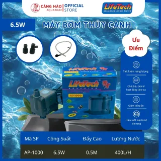 Sản phẩm 12 1768392996 — Công Ty TNHH Thương Mại Dịch Vụ Cảng Hào — MST 0315437996