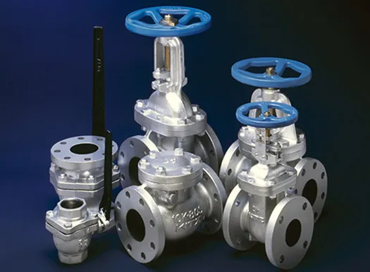Sản phẩm casting valve sjm vina — Công Ty TNHH Sunjin Metals Vina — MST 0315448500