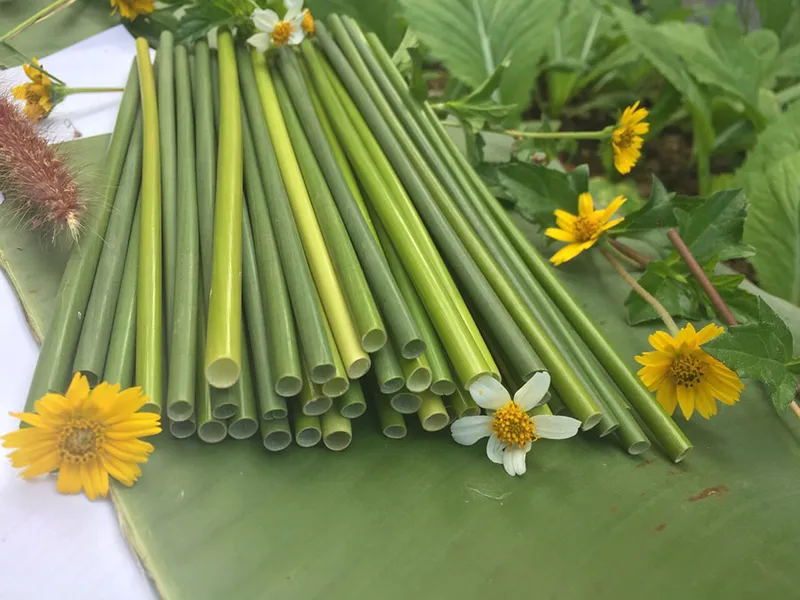 Sản phẩm san pham 1 — ống Hút Cỏ Bàng Green Future - Công Ty TNHH Sản Xuất Và Thương Mại Green Future
Việt Nam — MST 0315448878