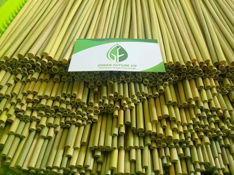 Sản phẩm san pham 2 — ống Hút Cỏ Bàng Green Future - Công Ty TNHH Sản Xuất Và Thương Mại Green Future
Việt Nam — MST 0315448878