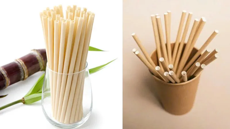 Sản phẩm z7977518418002_71dfcbd9358a9175108452bd3c733ce6 — ống Hút Cỏ Bàng Green Future - Công Ty TNHH Sản Xuất Và Thương Mại Green Future
Việt Nam — MST 0315448878