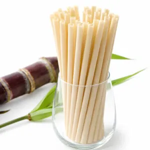 Sản phẩm z7977546954884_6d45dcf32cd39cc771740811b82e5fec 300x300 — ống Hút Cỏ Bàng Green Future - Công Ty TNHH Sản Xuất Và Thương Mại Green Future
Việt Nam — MST 0315448878