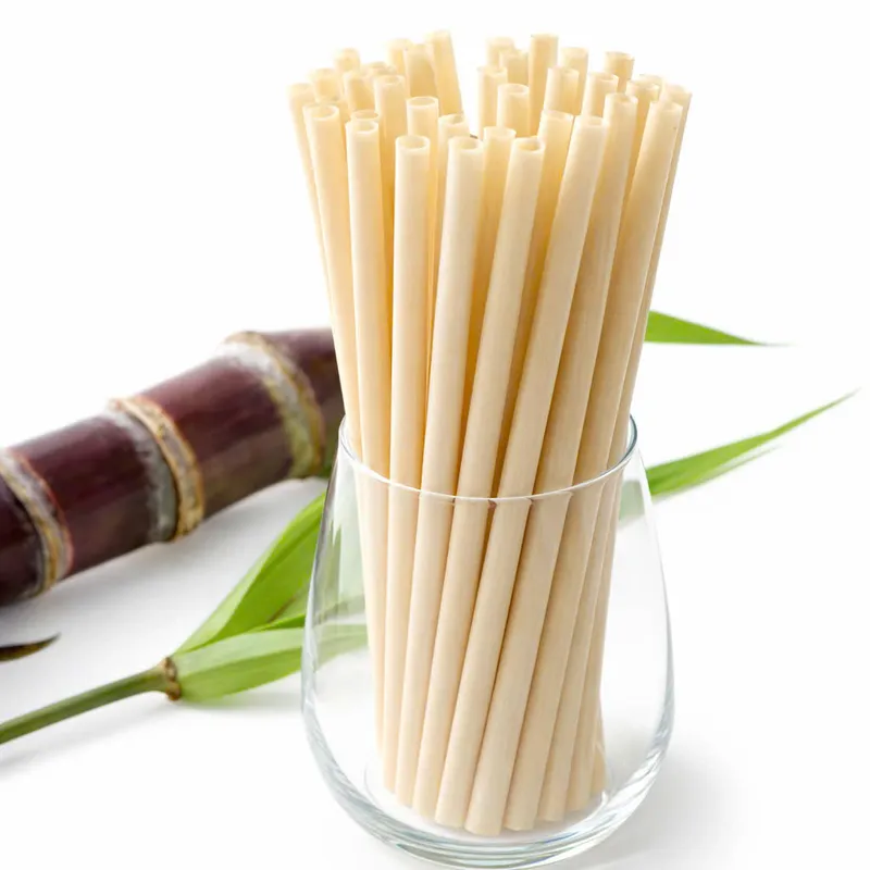 Sản phẩm z7977546954884_6d45dcf32cd39cc771740811b82e5fec — ống Hút Cỏ Bàng Green Future - Công Ty TNHH Sản Xuất Và Thương Mại Green Future
Việt Nam — MST 0315448878