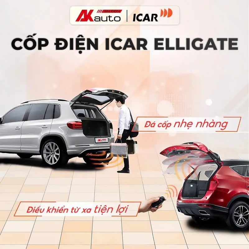 Sản phẩm cam bien da cop elligate — Công Ty TNHH Thương Mại Dịch Vụ Kinh Doanh Phụ Tùng Ô Tô Anh Khôi — MST 0315458241