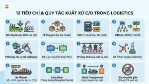 Sản phẩm Them tieu de 300x169 — Công Ty TNHH Tiếp Vận VHG — MST 0315465344