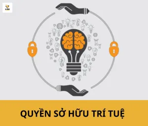 Sản phẩm so huu tri tue 300x254 — Công Ty TNHH Tiếp Vận VHG — MST 0315465344