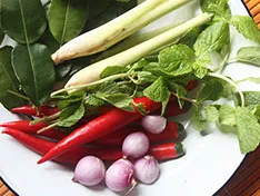 Sản phẩm 20121210 thai herbal salmon salad whole herbs u9702 fr — Công Ty TNHH Vina Freezedry — MST 0315485171