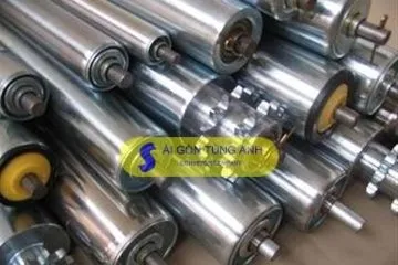 Sản phẩm CON lan sai gon tung anh 360x240 — Công Ty TNHH Sài Gòn Tùng Anh — MST 0315496261