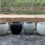 Sản phẩm hat xop lam chau cay canh xi mang 150x150 — Công Ty TNHH Sản Xuất Và Đầu Tư Như Phương — MST 0315497811