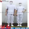 Sản phẩm A66 100x100 — Công Ty TNHH Sản Xuất Thương Mại May Việt An — MST 0315505269