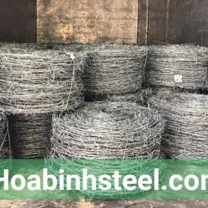 Sản phẩm KẼM GAI ĐINH GIÁ RẺ 300x300 — Công Ty TNHH Thép Hòa Bình — MST 0315506054