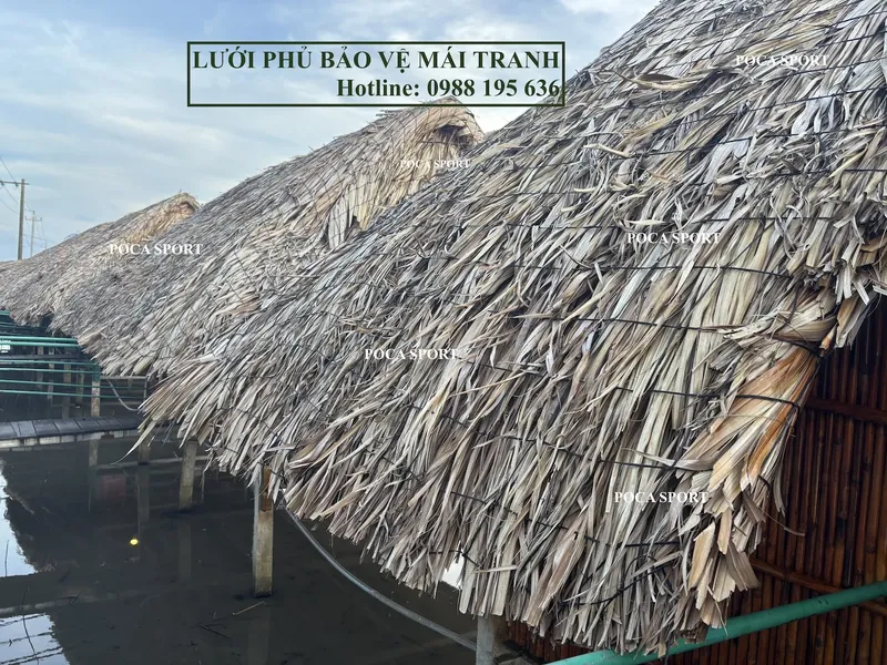 Sản phẩm l_u_o_i_m_a_i_t_r_a_n_h_p_o_c_a large — Công Ty TNHH Thể Thao Poca — MST 0315506985