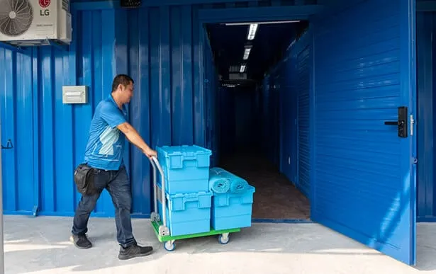 Sản phẩm push cart — Mystorage - Công Ty TNHH Austin Lab — MST 0315511569