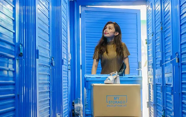 Sản phẩm woman cart — Mystorage - Công Ty TNHH Austin Lab — MST 0315511569