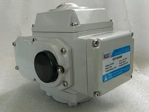 Sản phẩm 0a24 300x225 — Công Ty TNHH Thương Mại Và Dịch Vụ Van Thiên Minh — MST 0315512668
