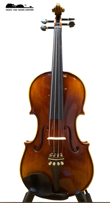 Sản phẩm dan violin bevis nau — Công Ty TNHH Ngọc Hải VIOLIN — MST 0315518081