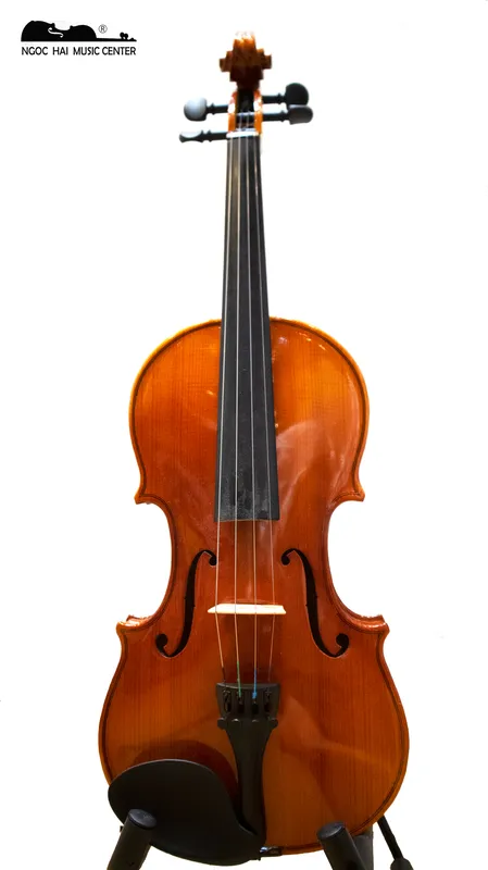 Sản phẩm ray1 — Công Ty TNHH Ngọc Hải VIOLIN — MST 0315518081