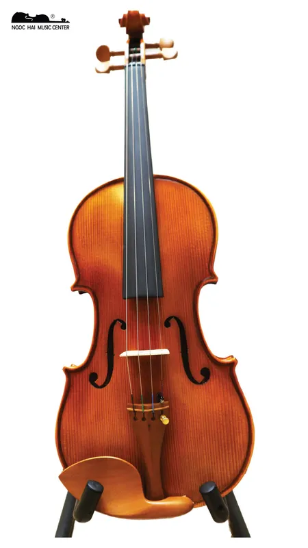 Sản phẩm violin raymond nhmc — Công Ty TNHH Ngọc Hải VIOLIN — MST 0315518081