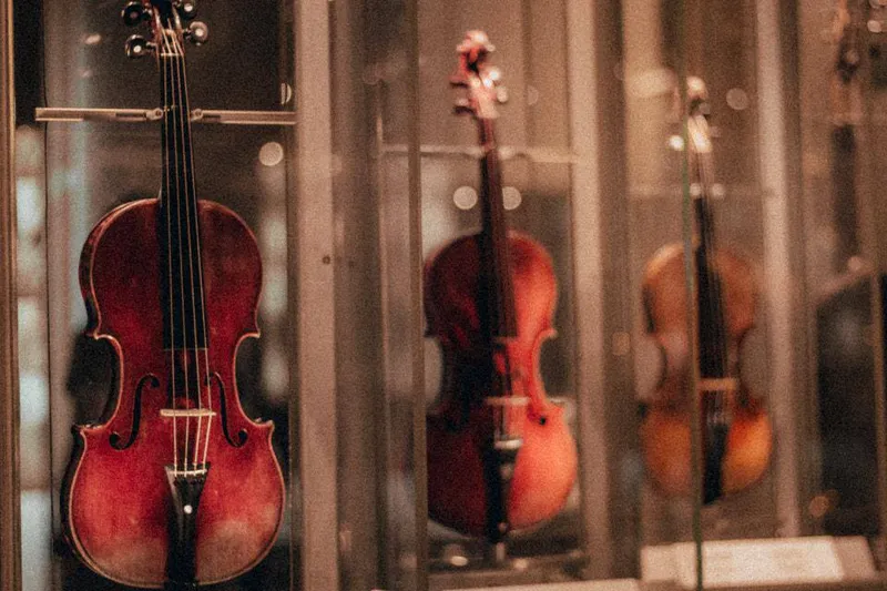 Sản phẩm dan violin dat nhat the gioi — Công Ty TNHH Ngọc Hải VIOLIN — MST 0315518081