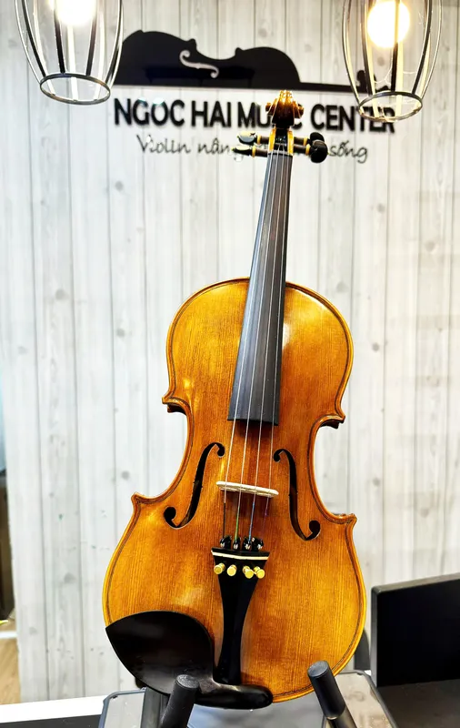 Sản phẩm dan bentin 1 — Công Ty TNHH Ngọc Hải VIOLIN — MST 0315518081