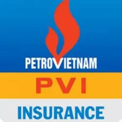 Sản phẩm pvi_compressed — VNVO Studio - Công Ty TNHH GYNNI Việt Nam — MST 0315519991