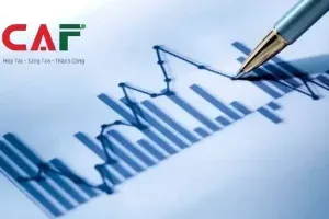 Sản phẩm thong tu 20 huong dan thue tndn 300x200 — Dịch Vụ Tư Vấn CAF - Công Ty TNHH Dịch Vụ Tư Vấn CAF — MST 0315520041