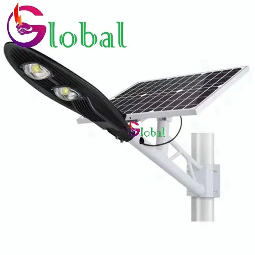Sản phẩm đèn đường chiếc lá năng lượng mặt trời 100w — Công Ty CP Công Nghệ Chiếu Sáng Toàn Cầu — MST 0315520563