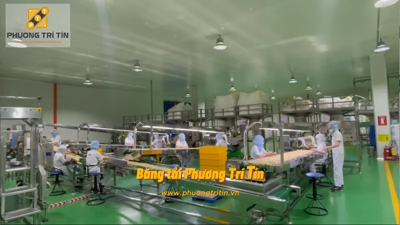 Sản phẩm Bang tai hat dieu — Băng Tải Phương Trí Tín - Công Ty TNHH Cơ Khí Chế Tạo Phương Trí Tín — MST 0315525272