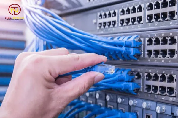 Sản phẩm thi cong cap lan — Công Ty TNHH Phát Triển Thương Mại Dịch Vụ Newstech — MST 0315536362