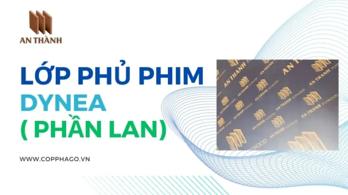 Sản phẩm lop phu phim dynea 711x400 — Công Ty CP XNK Công Nghiệp An Thành — MST 0315542408