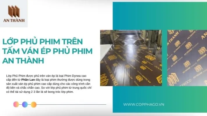 Sản phẩm lop phu phim tren tam van ep phu phim an thanh 711x400 — Công Ty CP XNK Công Nghiệp An Thành — MST 0315542408