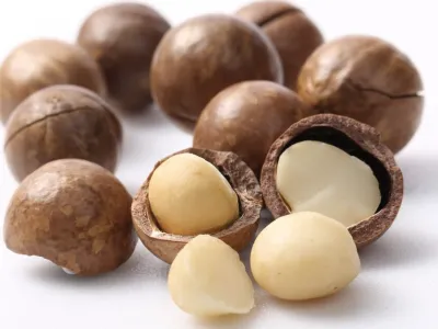 Sản phẩm hac macca 4893.png — Công Ty TNHH Sản Xuất Thương Mại Xuất Nhập Khẩu Hoàng Khánh — MST 0315549724