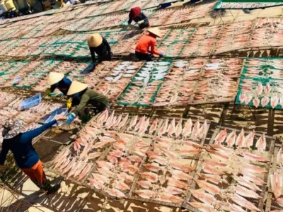 Sản phẩm muc jpeg 4787 1672626623 1736.jpg — Công Ty TNHH Sản Xuất Thương Mại Xuất Nhập Khẩu Hoàng Khánh — MST 0315549724