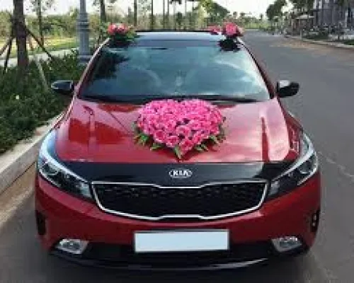 Sản phẩm 461670433294 — Công Ty TNHH Thương Mại Và Dịch Vụ Du Lịch Thảo My — MST 0315552075