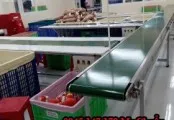 Sản phẩm bang tai binh duong 1768 — Băng Tải Trung Nam - Công Ty TNHH Cơ Khí Chế Tạo Trung Nam — MST 0315566832