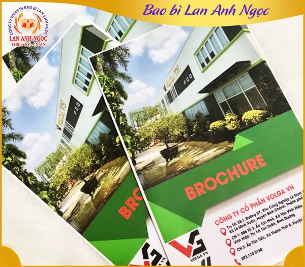 Sản phẩm In brochure — Công Ty TNHH In Bao Bì Lan Anh Ngọc — MST 0315572025