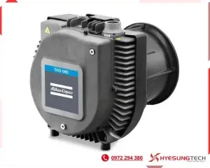 Sản phẩm bom chan khong DSS SERIES 01 300x240 — Công Ty CP Hyesungtech Viet Nam — MST 0315572360