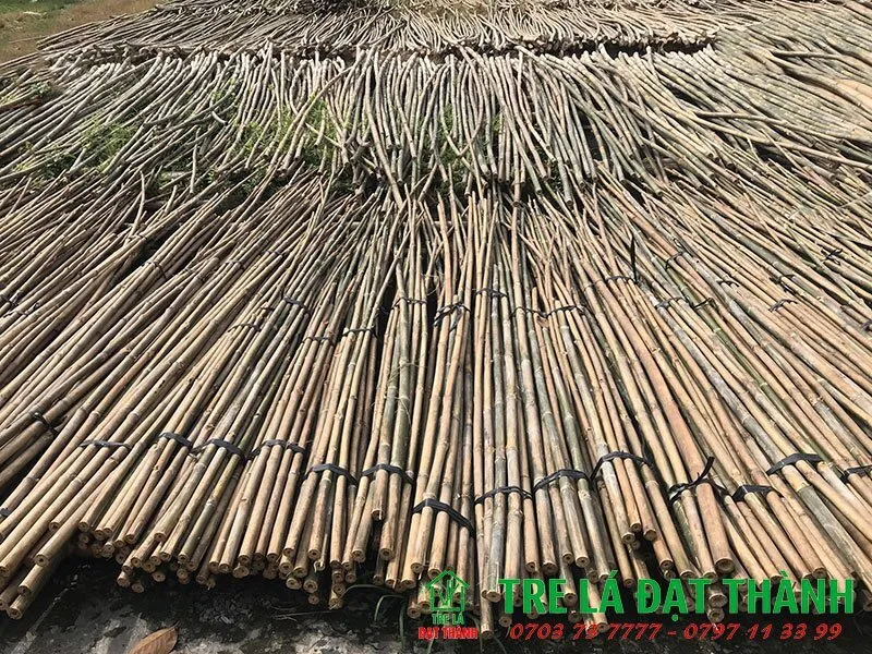 Sản phẩm nguyen lieu tre truc — Công Ty TNHH Nội Thất Xây Dựng Thiên Hoàng Thành — MST 0315582961