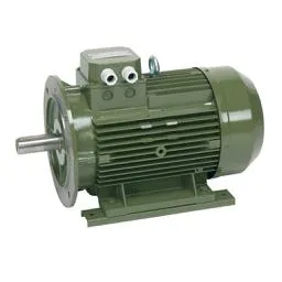 Sản phẩm 160dong co motor saer italia — Máy Bơm Hùng Phát - Công Ty TNHH Thiết Bị Công Nghiệp Hùng Phát — MST 0315599073