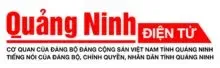 Sản phẩm ne20258180234 — Công Ty TNHH Tư Vấn Đầu Tư Lâm Hải An — MST 0315601646