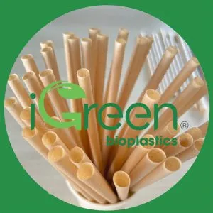 Sản phẩm sugarcane straws 300x300 — Công Ty CP Công Nghệ Phát Triển Igreen — MST 0315602745