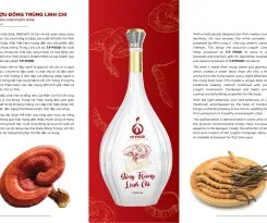 Sản phẩm z4394274704271 d404cd4699e17e28c642c546a3b0425c 3478 — Công Ty TNHH Thương Mại Thực Phẩm T.P — MST 0315602953