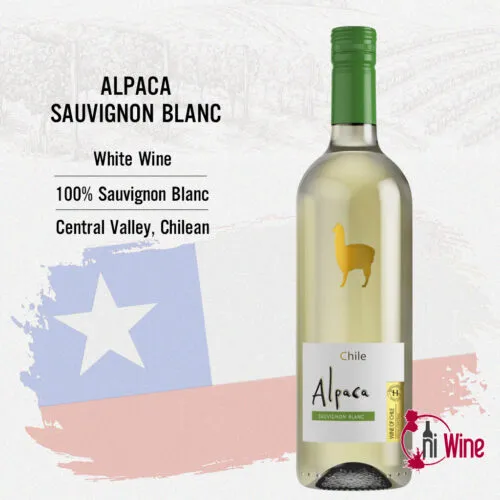 Sản phẩm alpaca sauvignon blanc 1 500x500 — Công Ty Cổ Phần Thương Mại Dịch Vụ Hi Wine — MST 0315603379