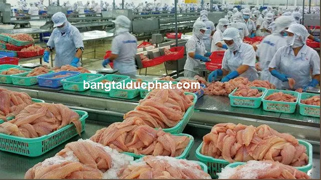 Sản phẩm bang tai che bien thit 1 — Băng Tải Đức Phát - Công Ty TNHH Đầu Tư Phát Triển Sản Xuất Thương Mại Đức Phát — MST 0315605739