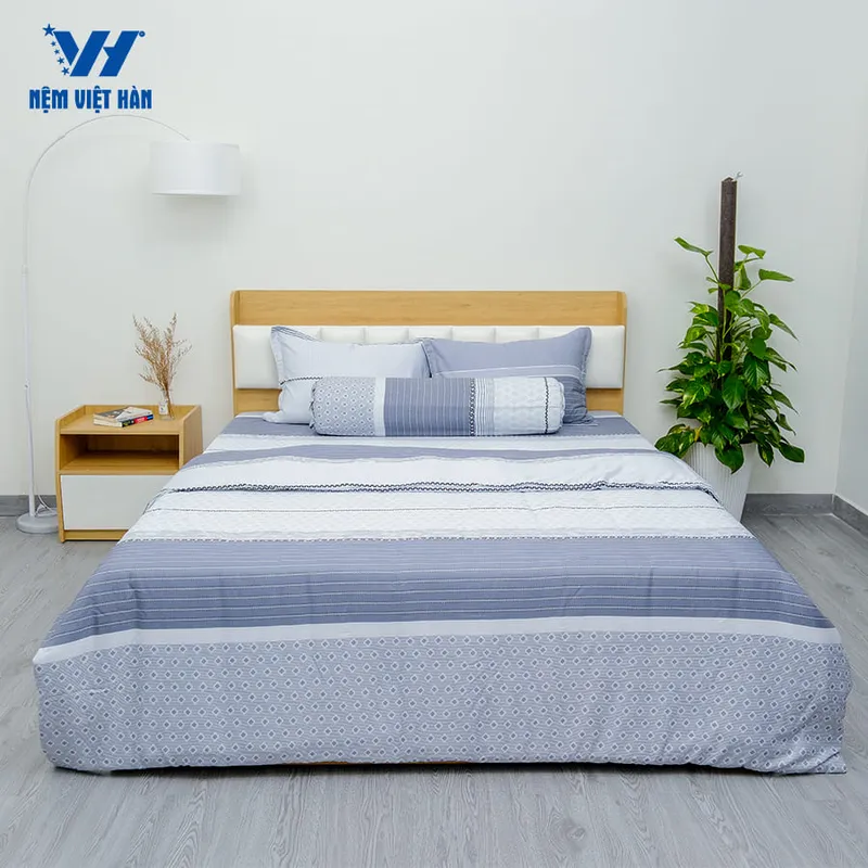 Sản phẩm 1 2 — Công Ty Cổ Phần Sản Xuất Thương Mại Nệm Việt Hàn — MST 0315613592