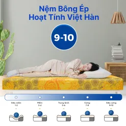 Sản phẩm 1 1 247x247 — Công Ty Cổ Phần Sản Xuất Thương Mại Nệm Việt Hàn — MST 0315613592