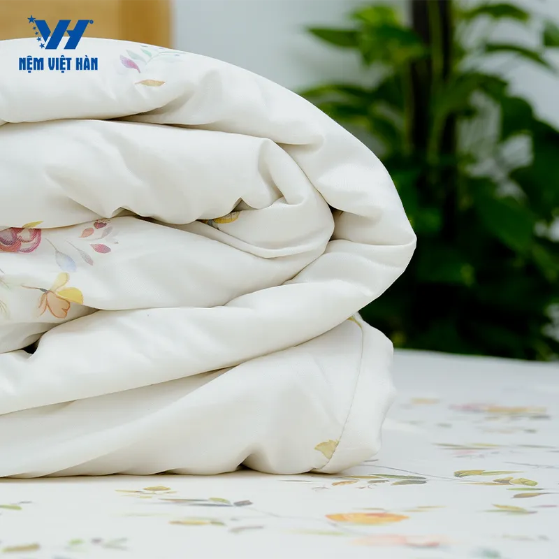 Sản phẩm 1 5 — Công Ty Cổ Phần Sản Xuất Thương Mại Nệm Việt Hàn — MST 0315613592