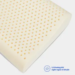 Sản phẩm Goi CS 1 247x247 — Công Ty Cổ Phần Sản Xuất Thương Mại Nệm Việt Hàn — MST 0315613592