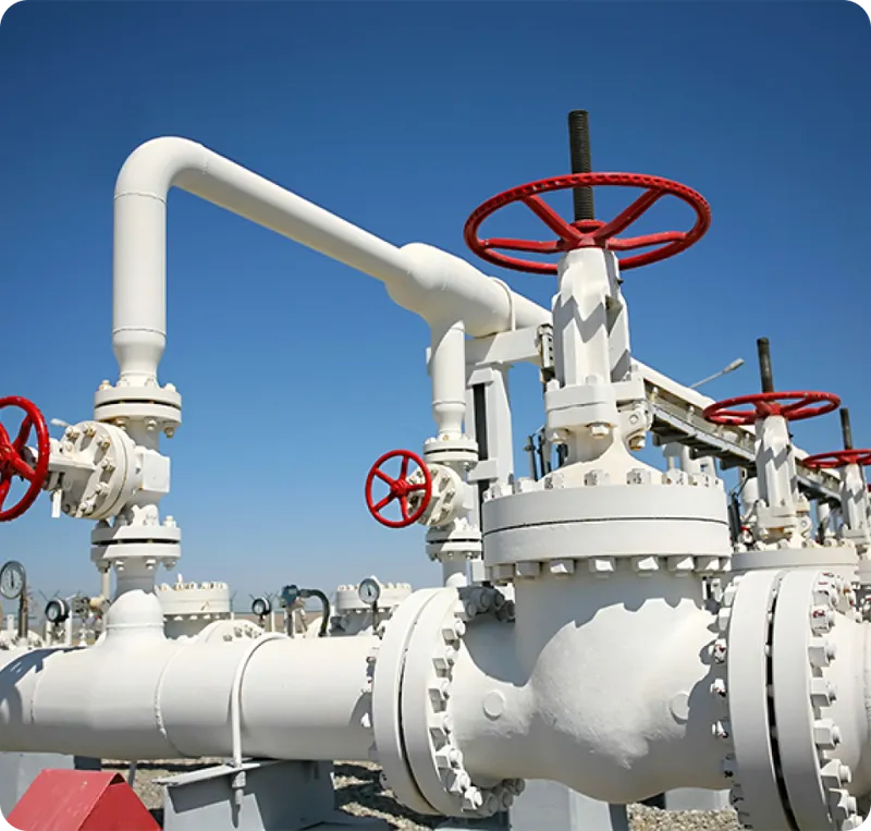 Sản phẩm 2022 10 19 10 36 frame 3466710 — Công ty THHH LPG Sài Gòn — MST 0315616466