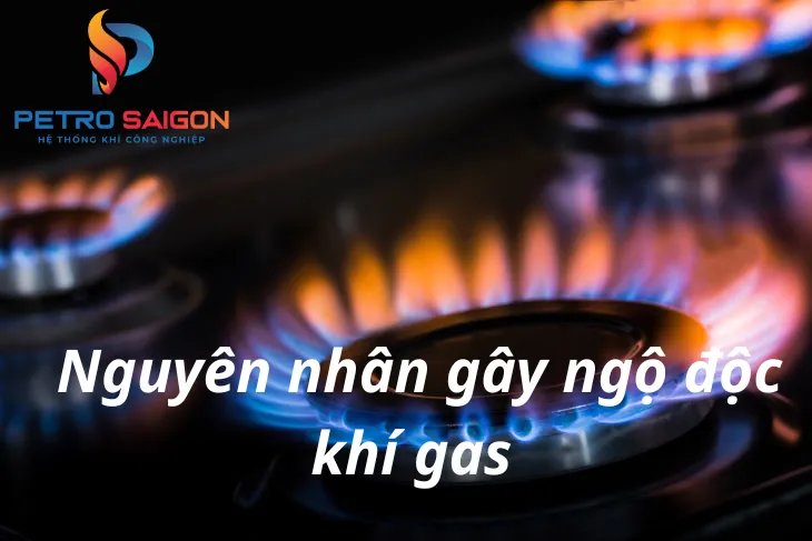 Sản phẩm 2023 02 20 22 21 nguyen nhan gay ngo doc khi gas — Công ty THHH LPG Sài Gòn — MST 0315616466